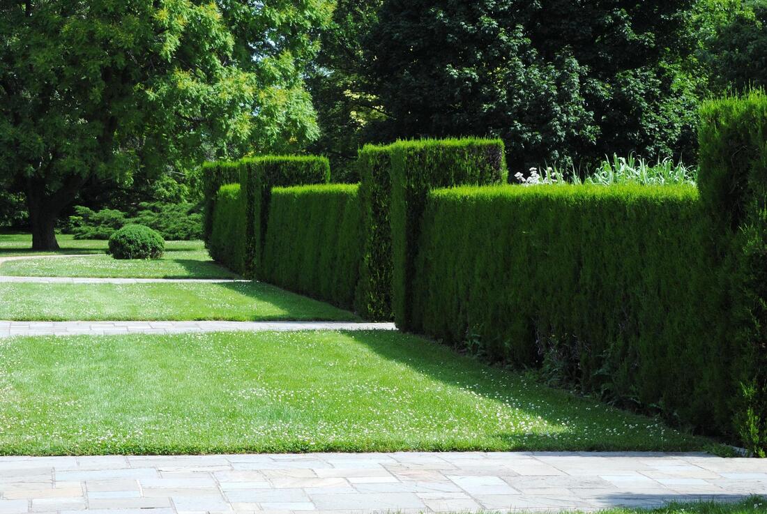 affordable residential landscaping service 